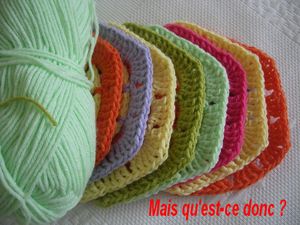 Copie_de_IMGP5147