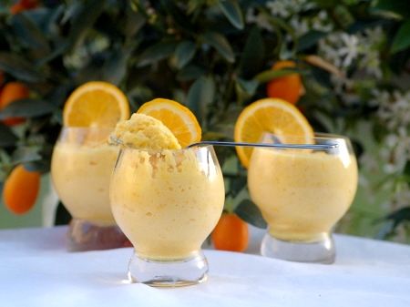 Mousse_orange_vodka_citron_038