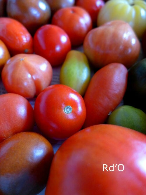 tomates-blog-11