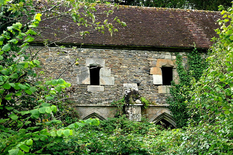 232925-vestiges-abbaye-belletoile-partie-superieure-cloitre-commune-cerisy-belletoile-orne-