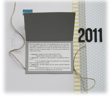 37___260511___Objectifs_2011_2