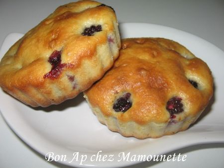 Tartelettes_aux_m_res_006