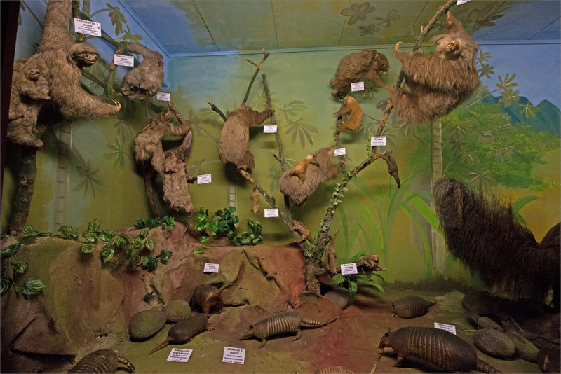 CR 13 San Jose musée sciences 2015 4