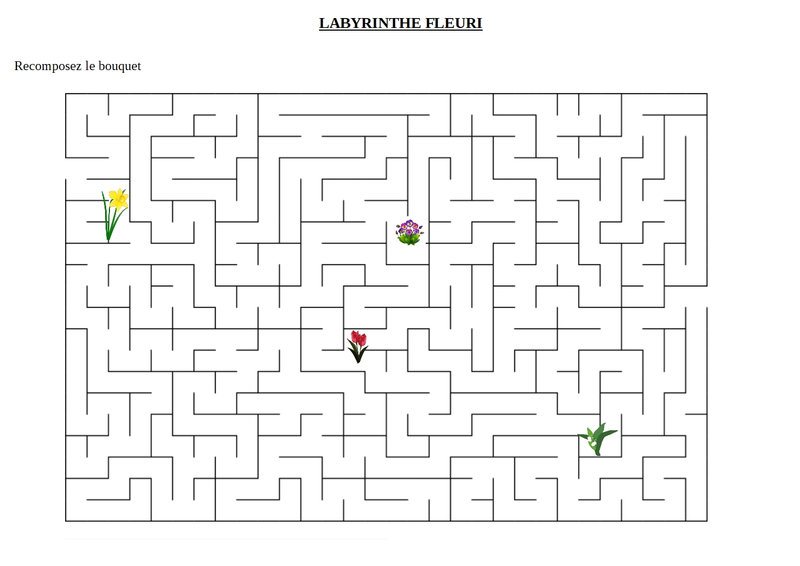 labyrinthe fleuri