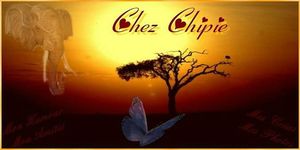 Bannière Chez Chipie