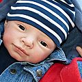 Léo, adopté par Nicole
