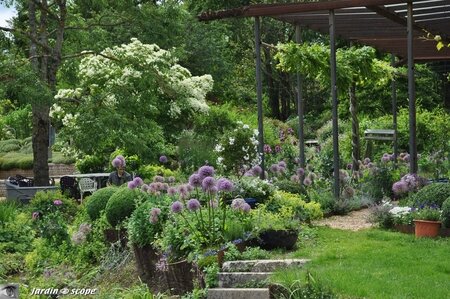 Jardin-François-0013
