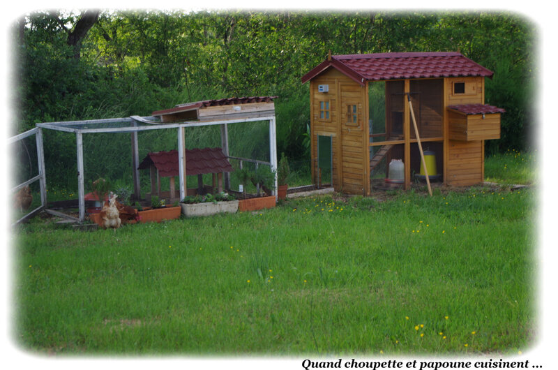 le chemin des poulaillers-9743