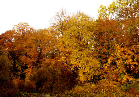 automne4