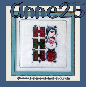 11 anne25_salnoel20