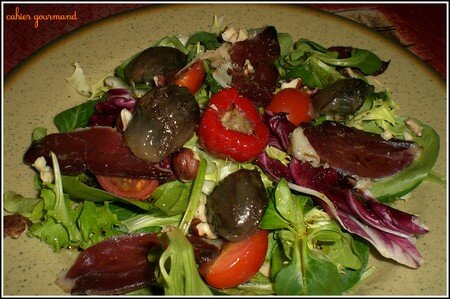 recettes entrees Salade du Sud Ouest à lhuile de pistache et balsamique ou comment faire revenir les copains