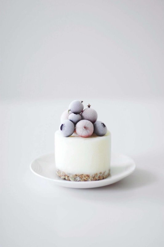cake_frozen_yogurt