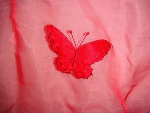 Etole rouge papillon zoom flash