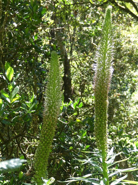 P1270271