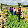 Jour 1 dans le Périgord - <b>Cluedo</b> dans les vignes à Montbazillac 