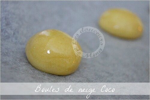 Boules_coco002