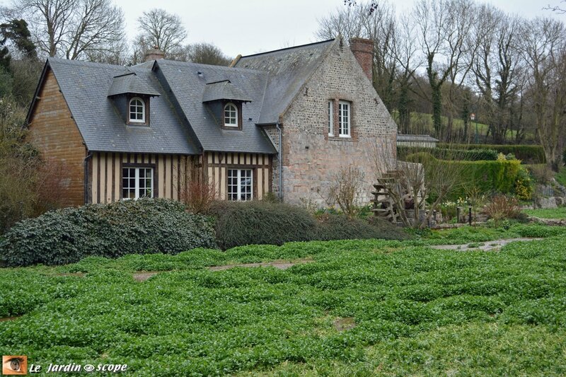 4604-Moulin-et-cressonnière-de-Veules