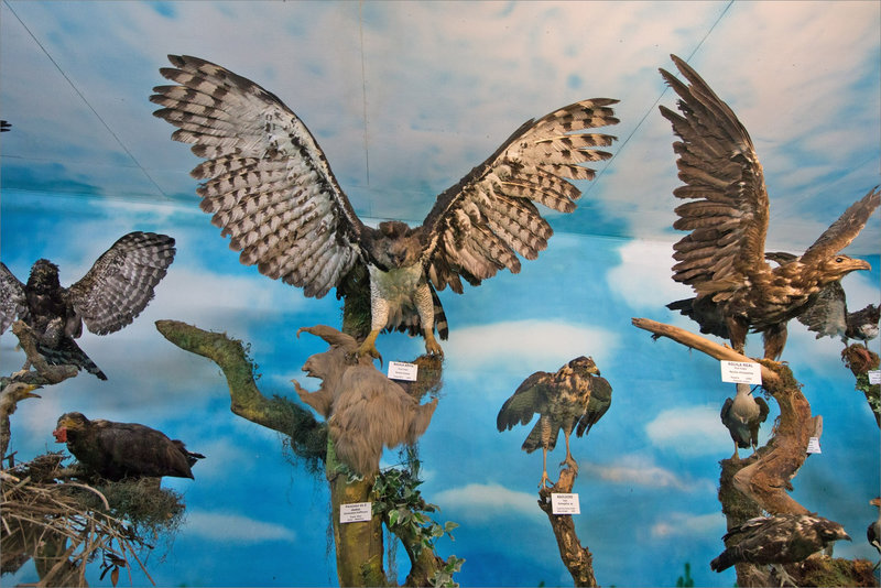 CR 13 San Jose musée sciences 2015 9
