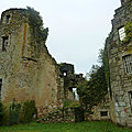 54 - Châteaux des Guerres de Vendée en <b>ruines</b>
