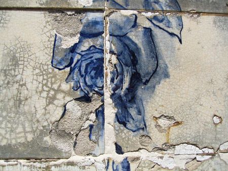 azuleros roses 2