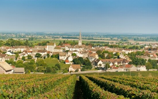 Bourgogne_Meursault