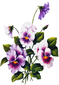 fleur_violet_101009_1_