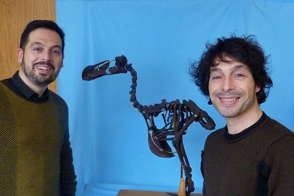 Stéphane botti et Christohe Botti autour d'un squelette de Dodo à Bruxelles(Collection IRSNB IG 11714)