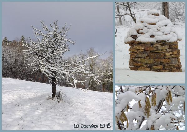 Hiver 2012 et 2013-001