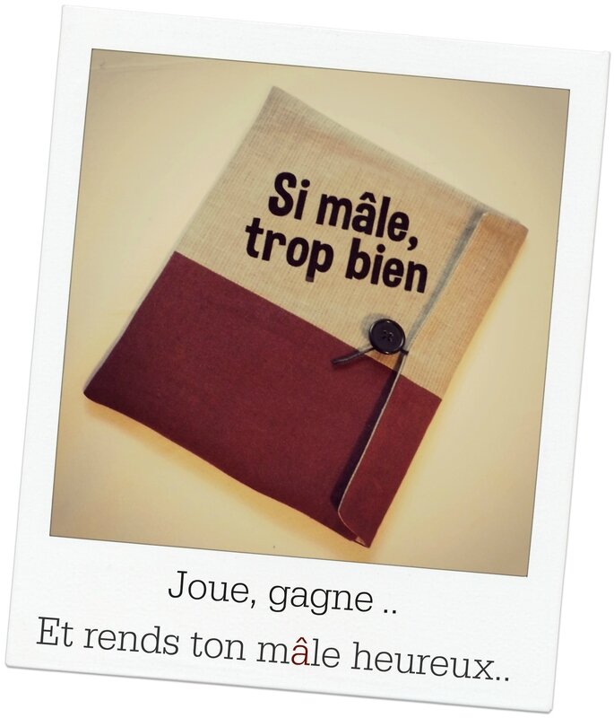 Pochette tablette pola pour jeu Juin 2014