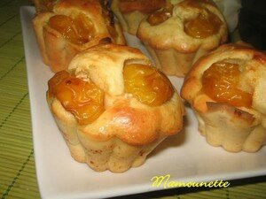 Brioch_s_aux_mirabelles_ma_belle___009