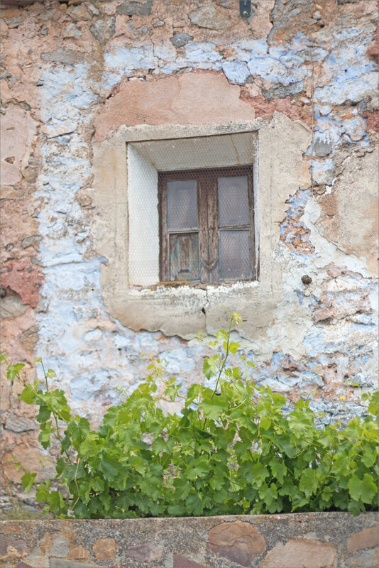 4 Aragon Moncayo Purujosa 130619 GA 50 ym 59 fenêtre vigne mur bleu