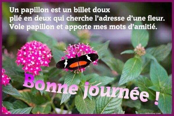 bonne-journee-amitie