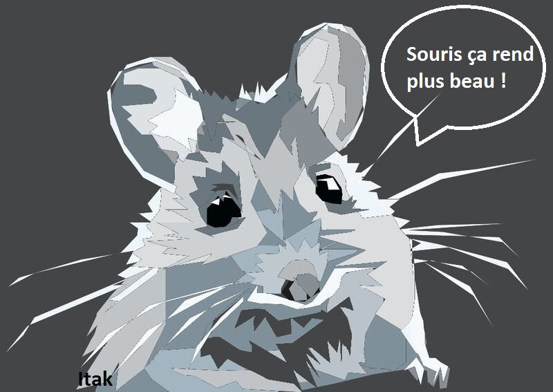 souris 14