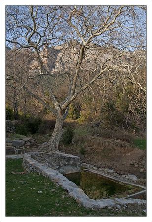 Aragon_lavoir_Torrelisa_arbre_31032011