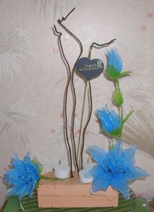 IMG_0049-crop