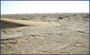 Arrivée sur un plateau de sable aride