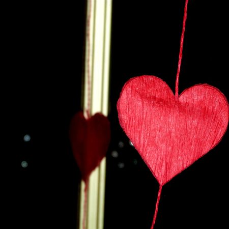 2013-02-02 FKDL14