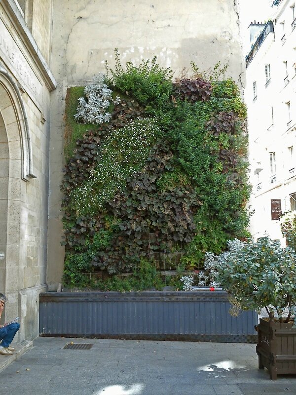 Rue Tiquetonne (600x800)