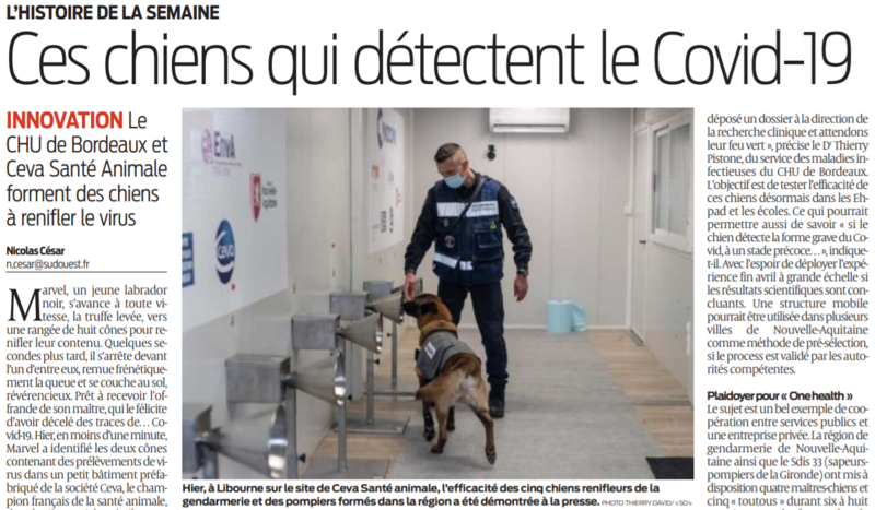 2021 01 30 SO Ces chiens qui détectent le Covid-19