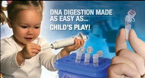 DNA_digestion