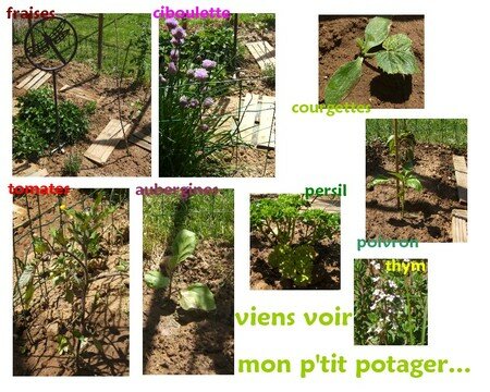 mon_p_tit_potager