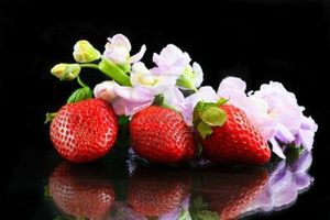 18061494-composition-des-fraises-avec-des-fleurs-et-des-mimosas[1]