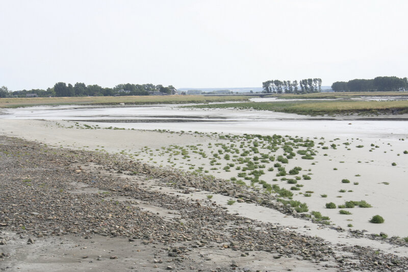 Mont Saint Michel 054