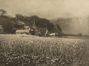 theonionsfieldgeorgesdavison185419301