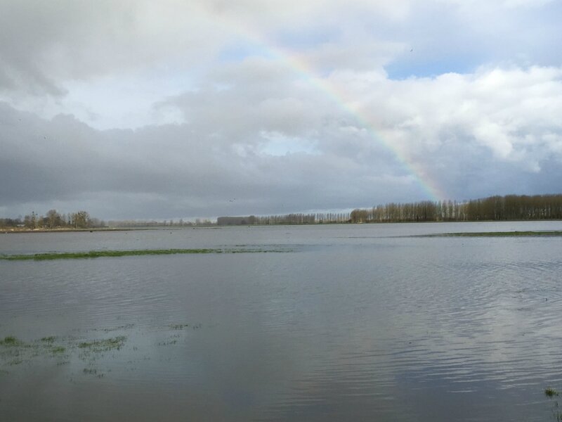 marais Sougeal inondation crue 14 février 2016 arc-en-ciel