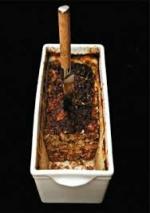 terrine