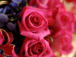 bouquet_of_roses