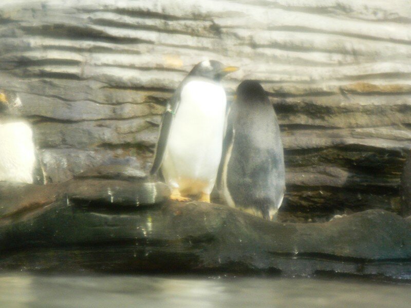 P1000367