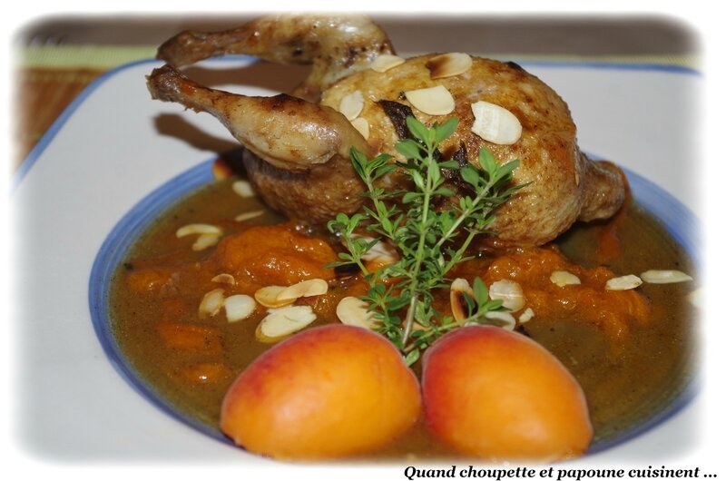 cailles aux abricots-476