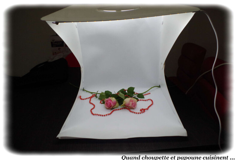 la light box-5901